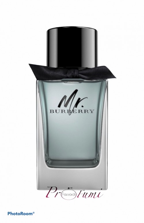 MR BURBERRY EDT 100ML SPRAY TS