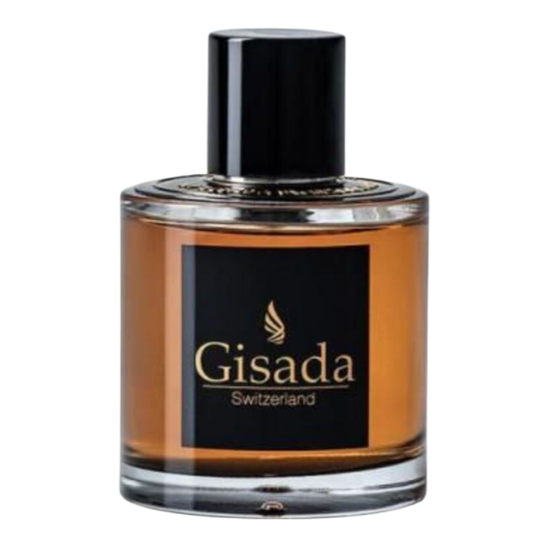 GISADA AMBASSADOR UOMO EDP 100ML TESTER